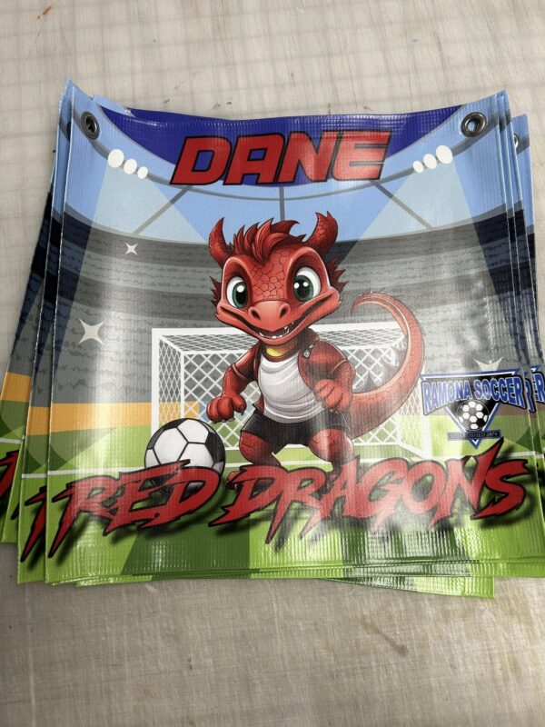 Player Banners - Image 4