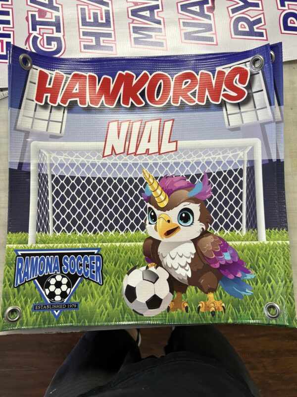 Player Banners - Image 5