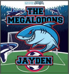 Player Banners