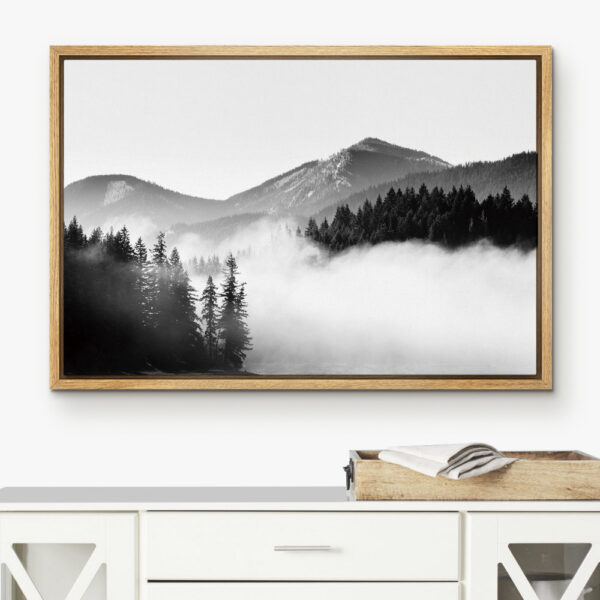 Framed Canvas Prints - Image 2